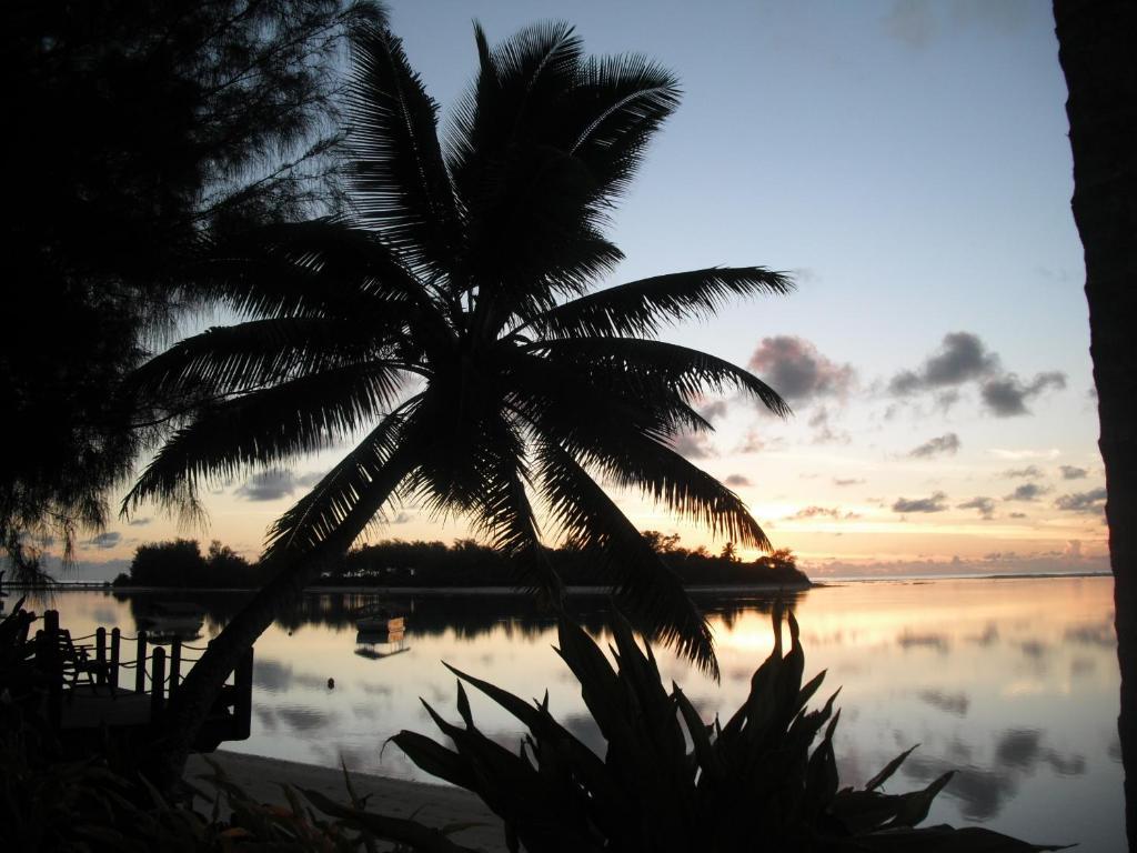 Muri Beachcomber Apartment Rarotonga Exterior photo